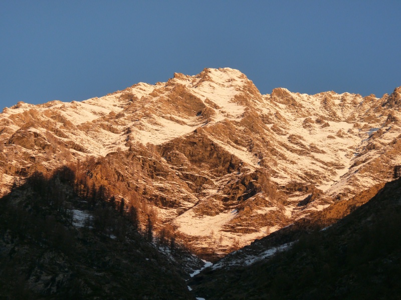 Home_8