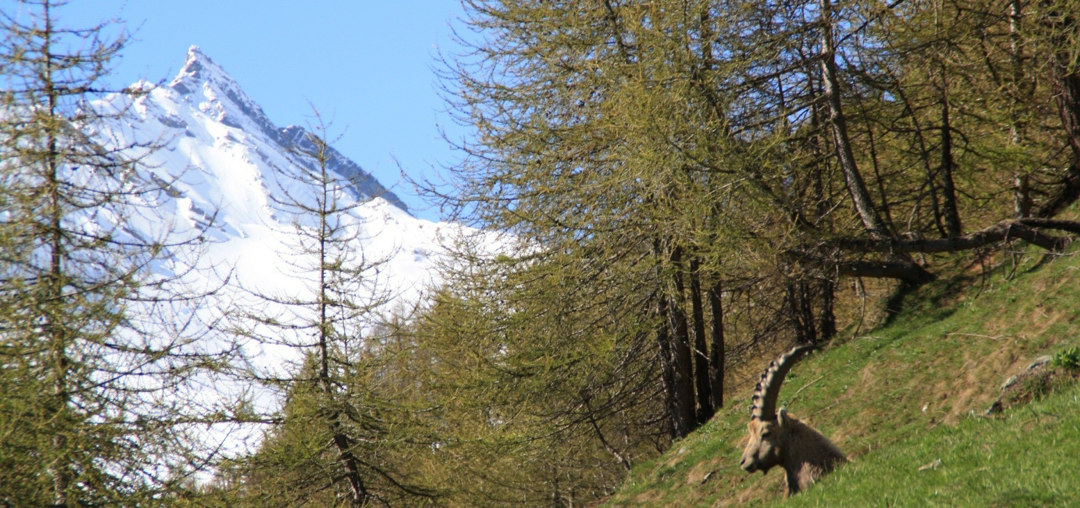 Guide Ambientali Escursionistiche Prali